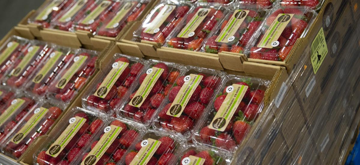 Packaged strawberries