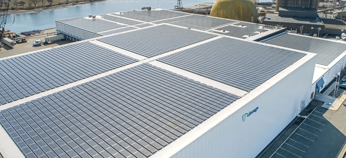 solar panels on roof of cold storage warehouse